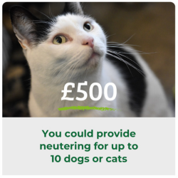 £500