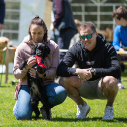 Novelty Dog Show