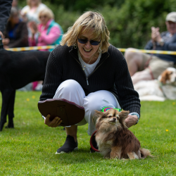 Novelty Dog Show