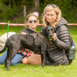 Novelty Dog Show 2025