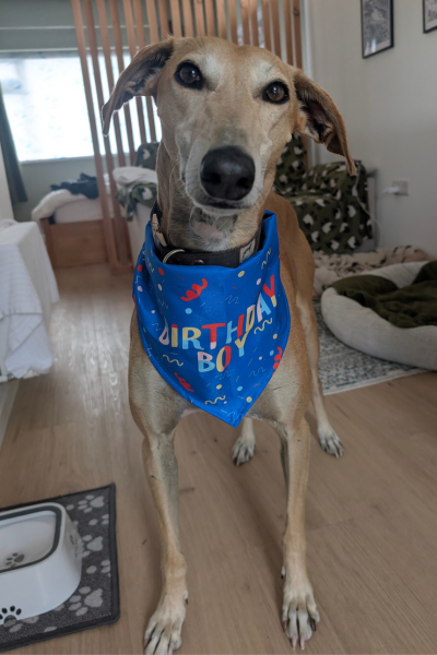 Opie