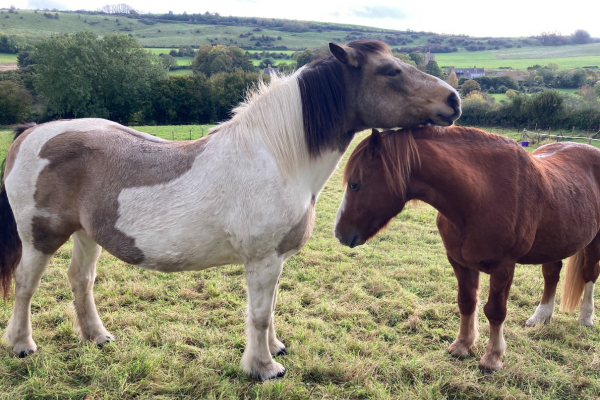 Chelsea & Brandy