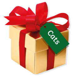 Wrapped Up With Love Cats 2025