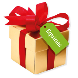 Wrapped Up With Love Equines 2025