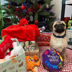 Wrapped Up With Love 2025