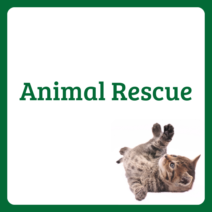 Animal Rescue Thumbnail