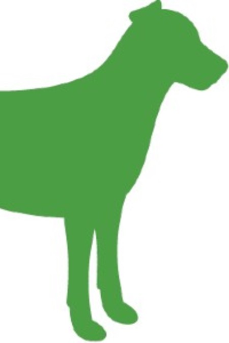 55500_BIO
