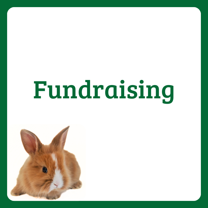 Fundraising Thumbnail