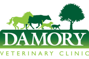 Damory Vets