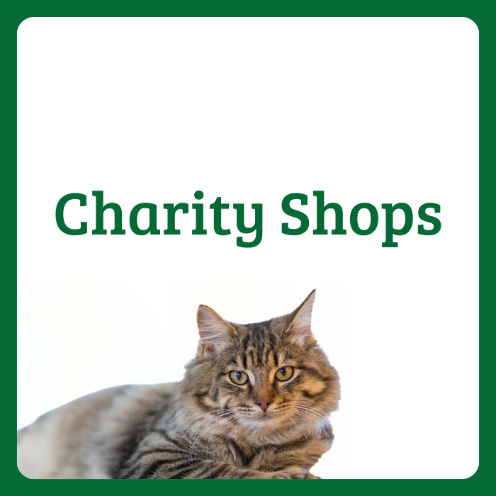 Charity Shops Thumbnail