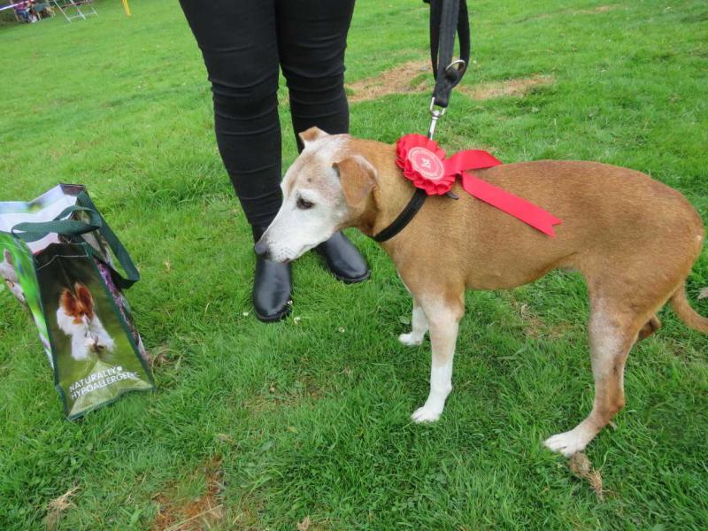 Best veteran 17yr old Bobby