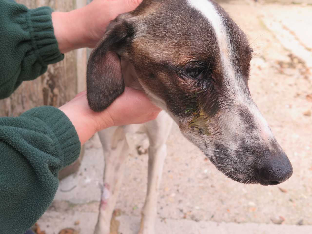 Florence coming into our care