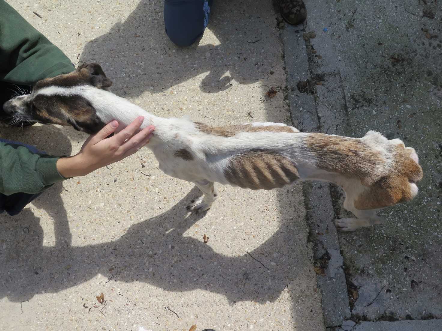 Florence when she first arrived (1)