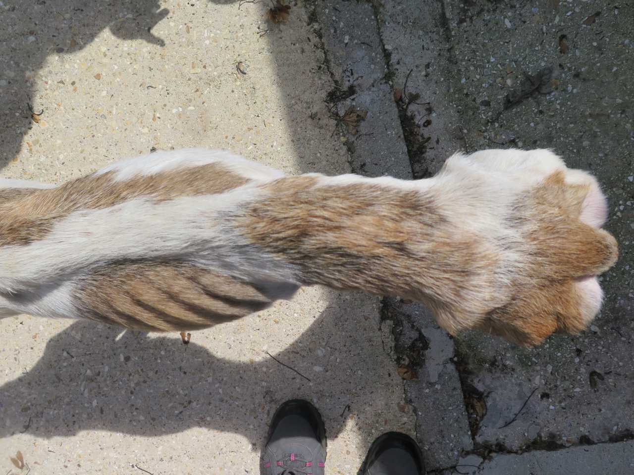 Florence when she first arrived (3)