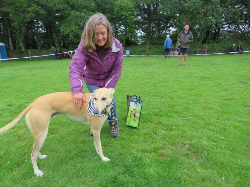 Handsomest dog Emma and Nigel