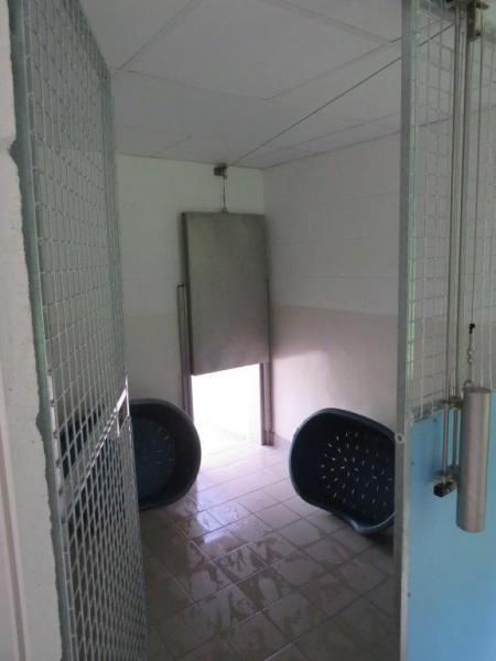 Lower Kennels Completed (5)