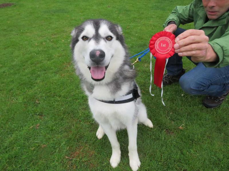 Max best ex mgar dog