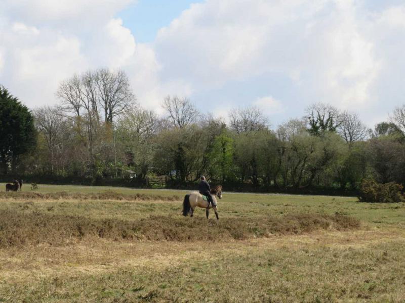 Sponsored Walk 2021 (10)