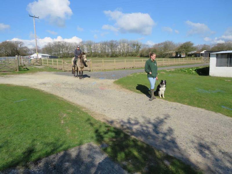 Sponsored Walk 2021 (2)