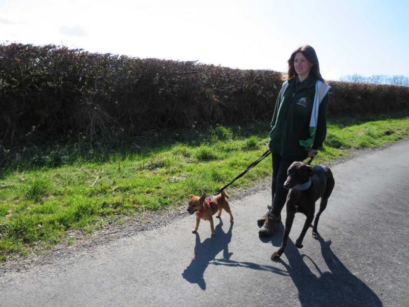 Sponsored Walk 2021 (4)