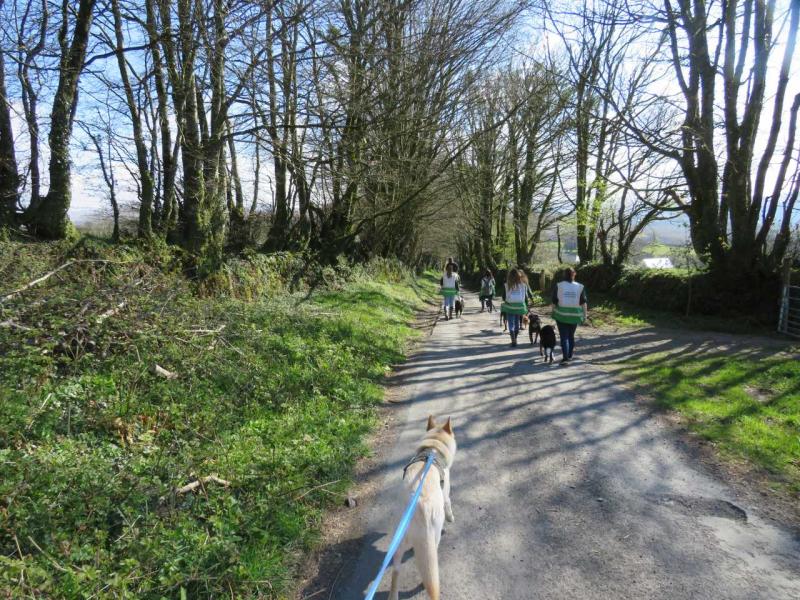 Sponsored Walk 2021 (5)