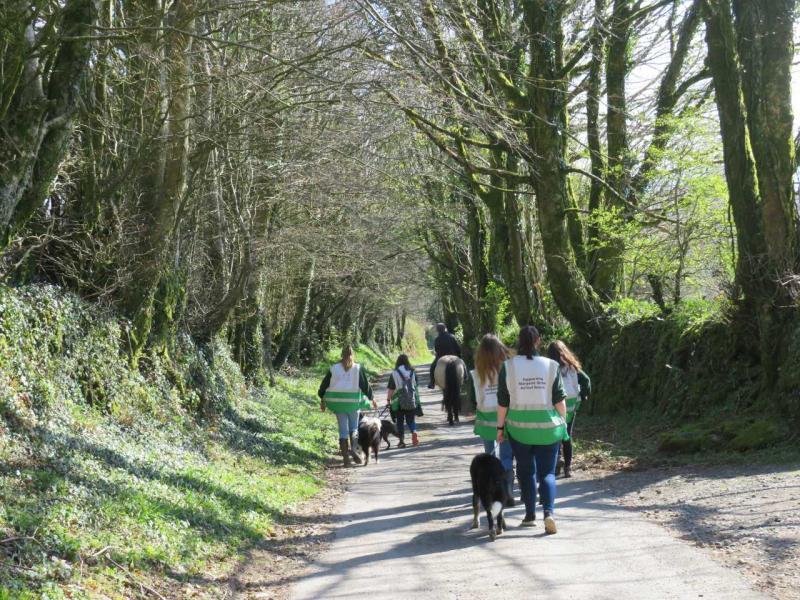 Sponsored Walk 2021 (6)