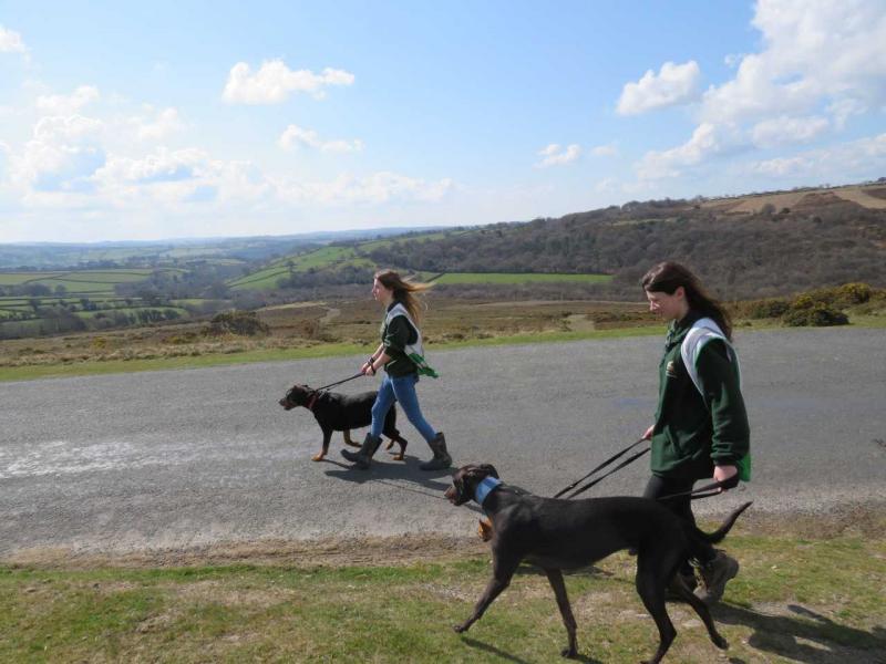 Sponsored Walk 2021 (9)