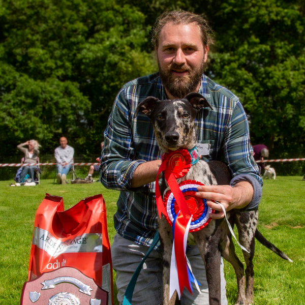 Novelty Dog Show Thumbnail