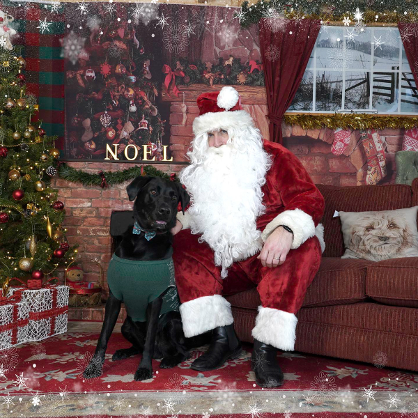 Santa Paws Grotto