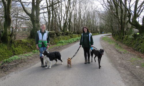 Sponsored Walk (Devon)