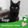 Suggs