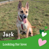 Jack