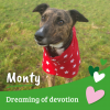 Monty