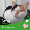 Betsy