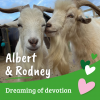 Albert & Rodney
