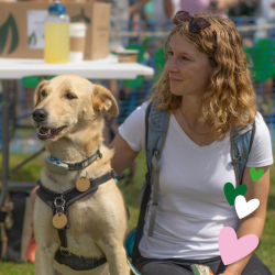Country Dog Show