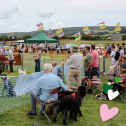 Country Dog Show