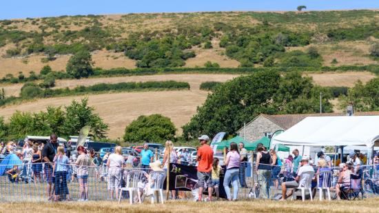 Country Dog Show