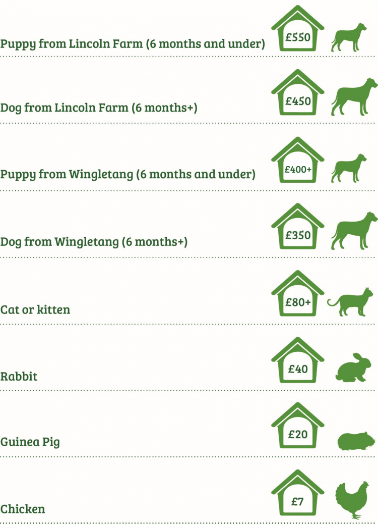 Rehoming Fees August 2025