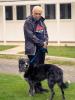 Walkies for Rescue 2025