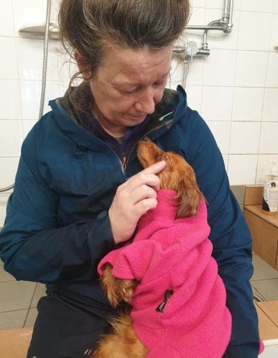 A brown dog is wrapped in a pink dog coat with its eyes closed, while being held by a carer who is looking lovingly down at them