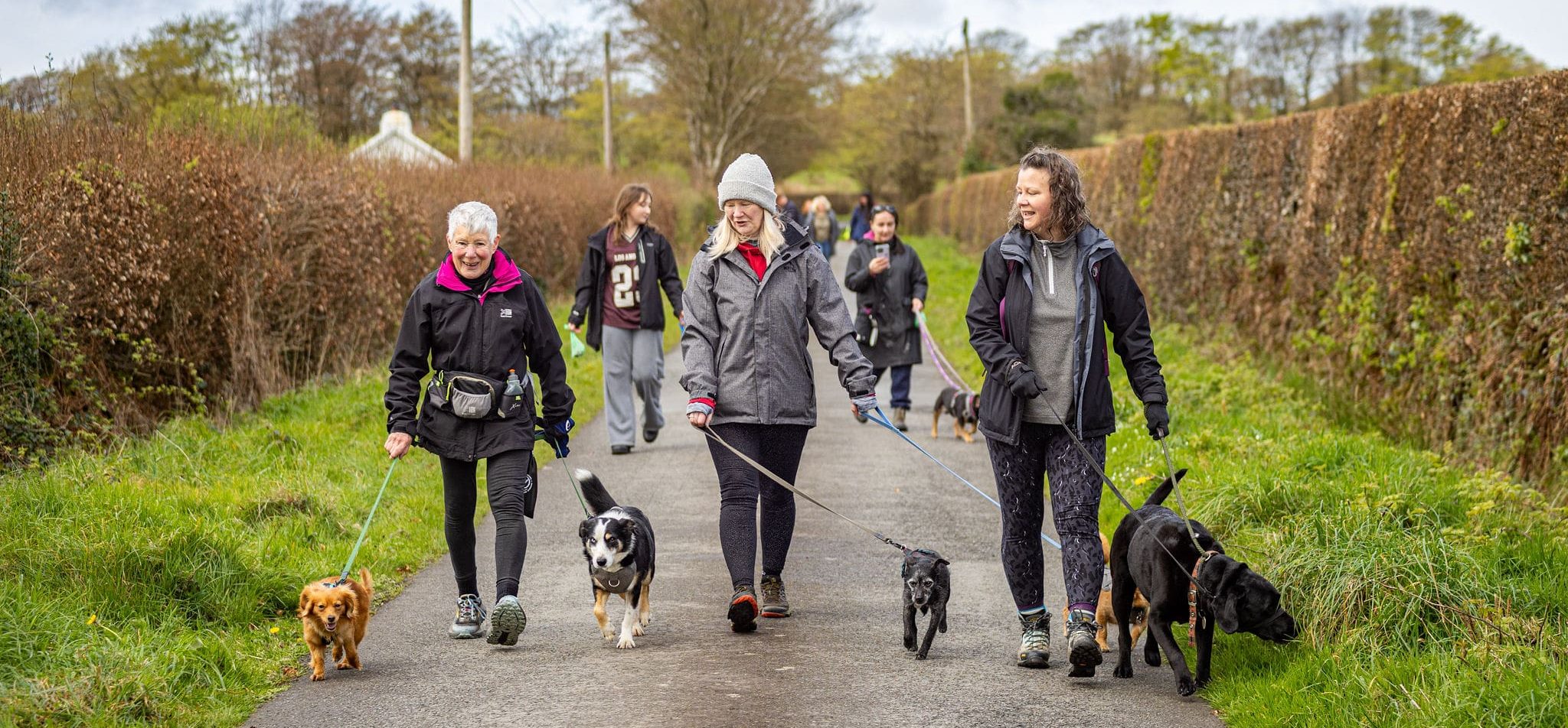 Sponsored Walkies A group of people are walking down a countryside lane with their dogs