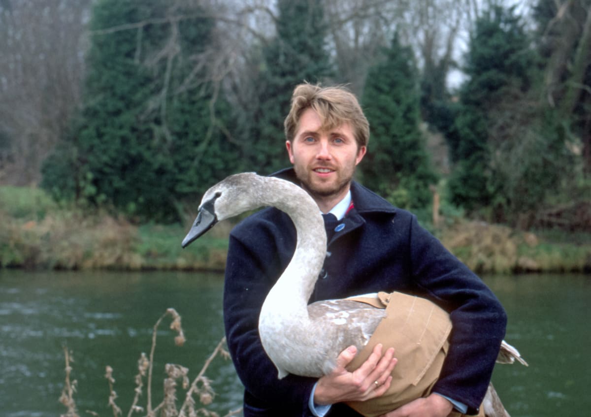 Nigel as an RSPCA Inspector - swan rescue