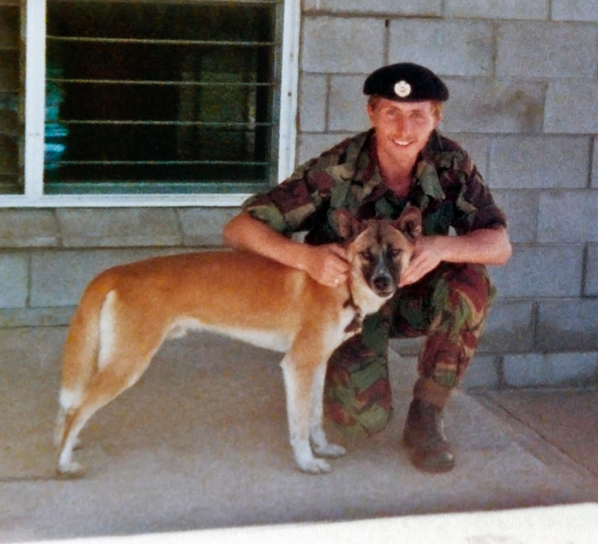 Royal Engineers - Australia -dingo mascot