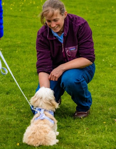 A woman is knelt down on grass and smiling at a small cream dog, whose back is to the camera