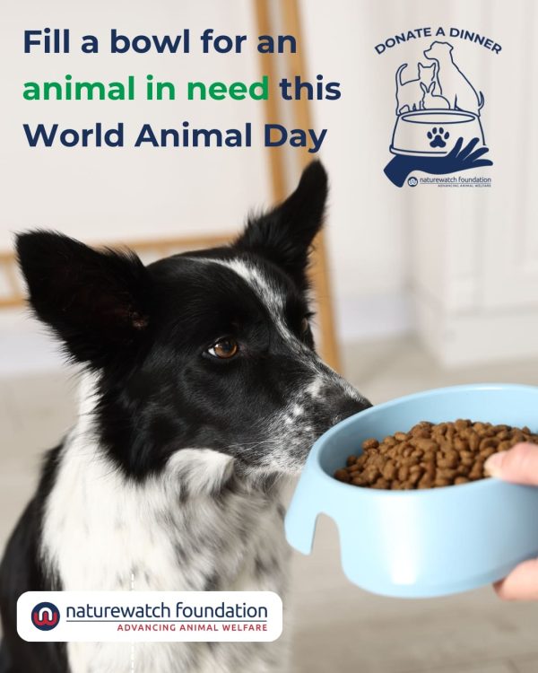 Donate a Dinner