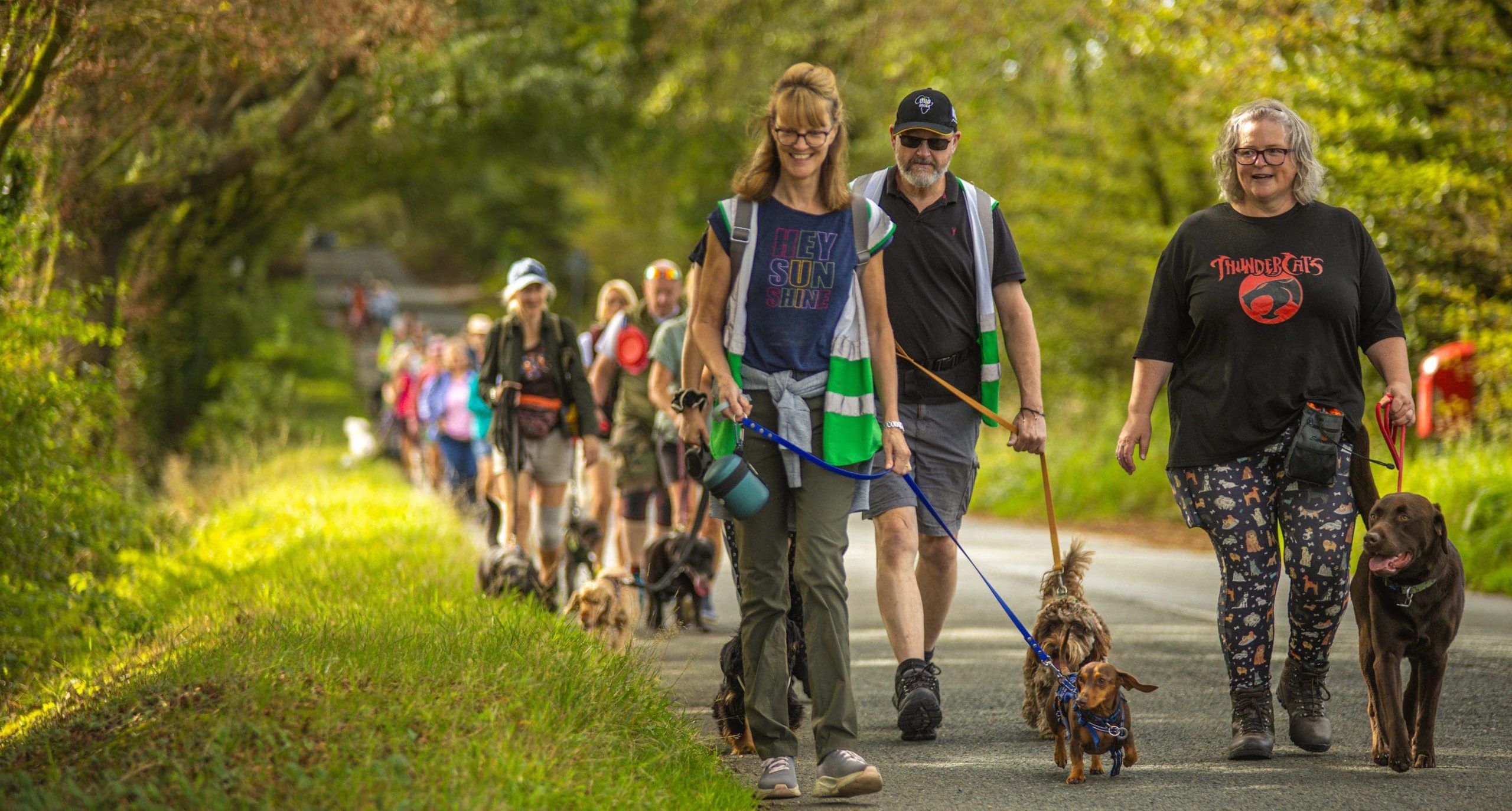 Walkies for Rescue 2026 A group of dogs and their owners walking along a country road