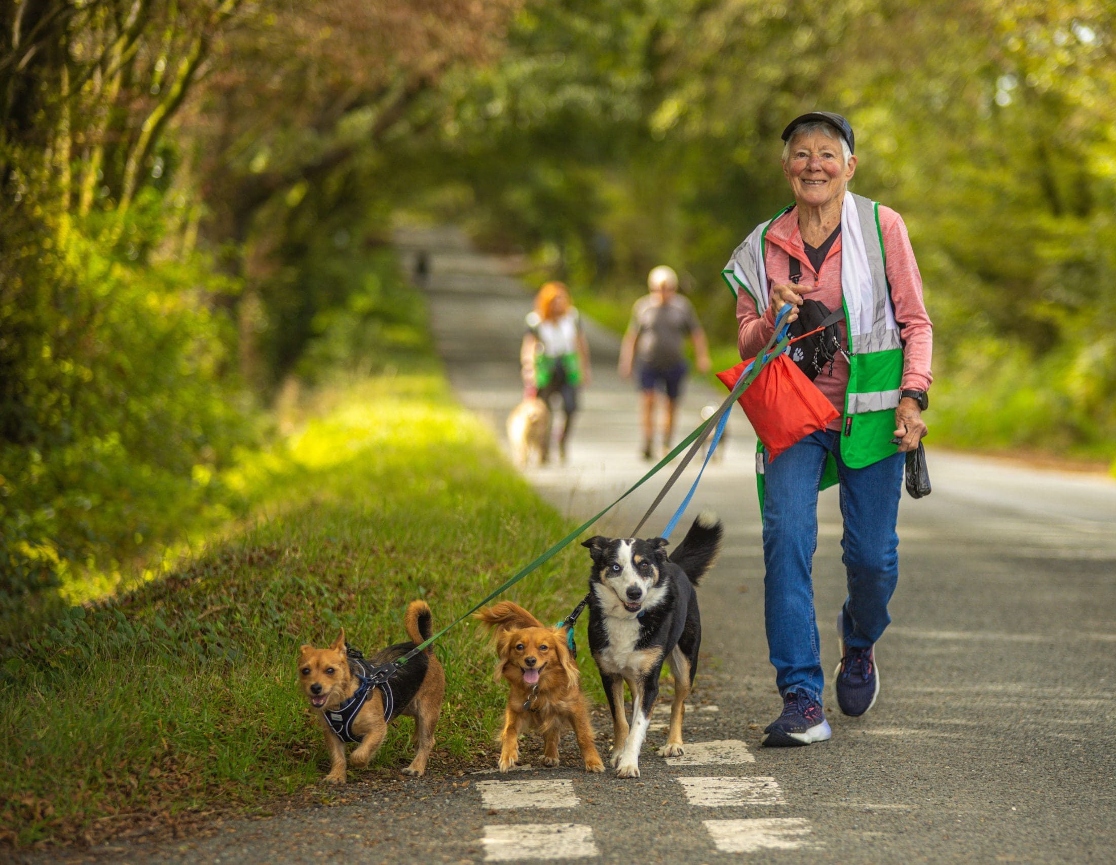 A woman walking along a country road with three dogs, all looking at the camera